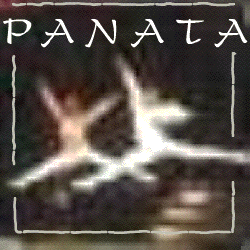 Panata Logo